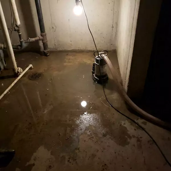 Basement Flood Clean Up in Wellington, FL