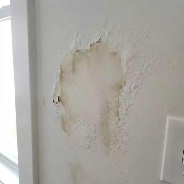 Expert Drywall Water Damage Repair in Wellington, FL