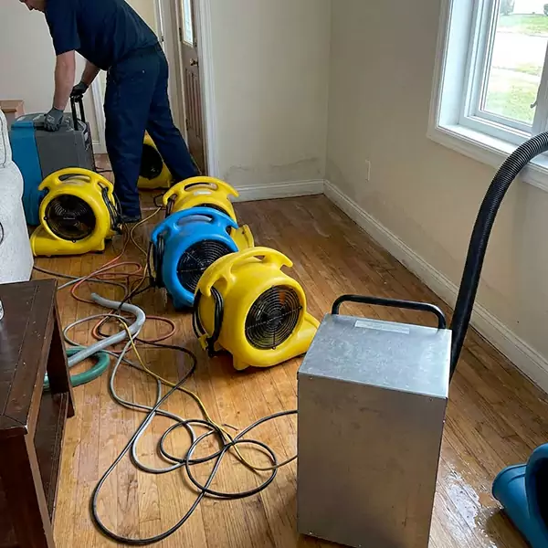 Water Mitigation Services in Wellington, FL