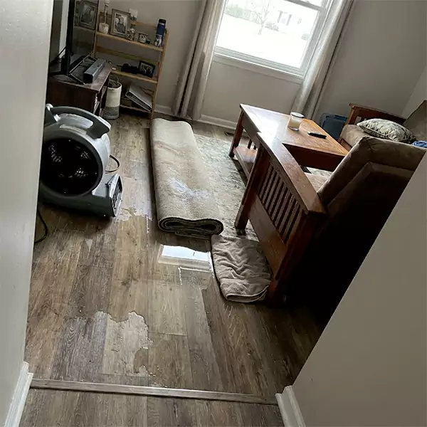 Water Restoration in Wellington, FL