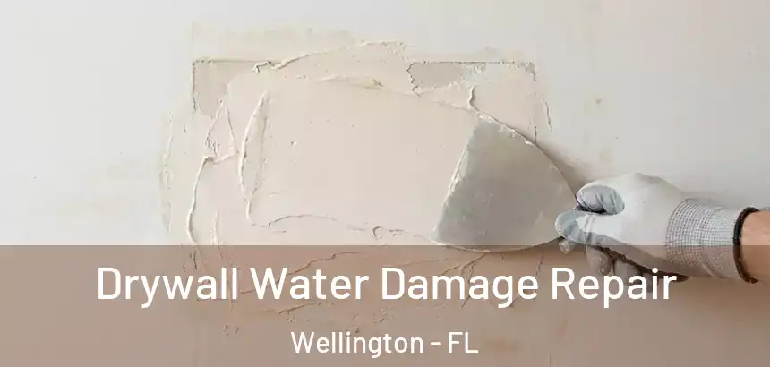 Drywall Water Damage Repair Wellington - FL