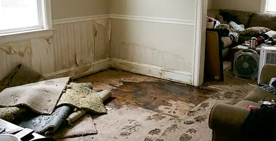 Why Choose Wellington Water Restoration For Water Damage Restoration Services in Wellington, FL?