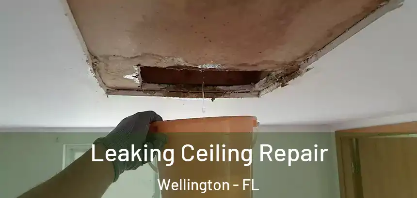  Leaking Ceiling Repair Wellington - FL