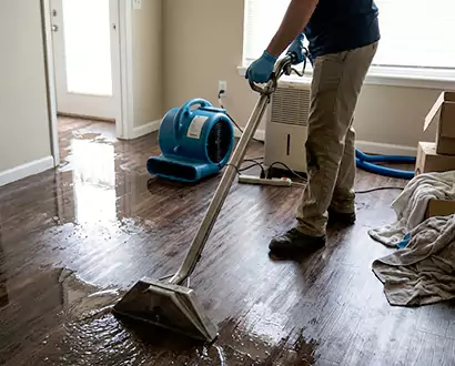 Flood Restoration in Wellington