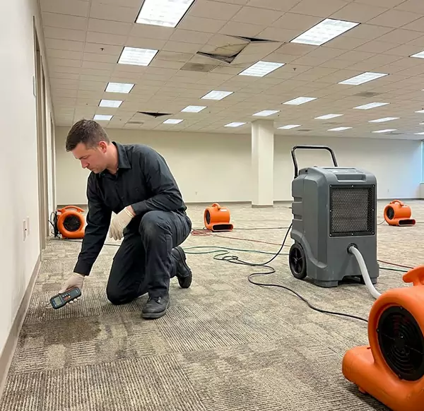 Why Businesses Choose Wellington Water Restoration for Commercial Water Damage in Wellington, FL?