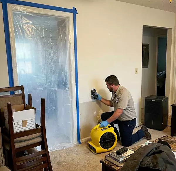 Why Homeowners & Businesses Choose Wellington Water Restoration for Water Remediation in Wellington, FL?