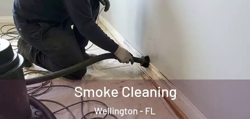  Smoke Cleaning Wellington - FL