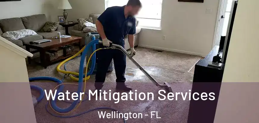  Water Mitigation Services Wellington - FL