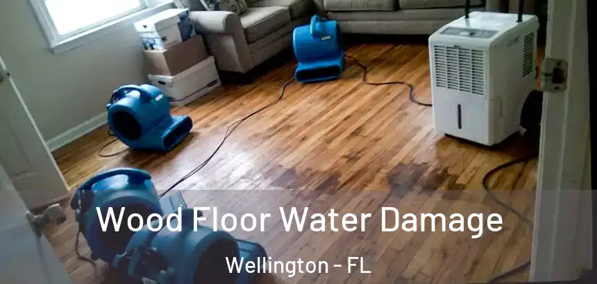 Wood Floor Water Damage Wellington - FL